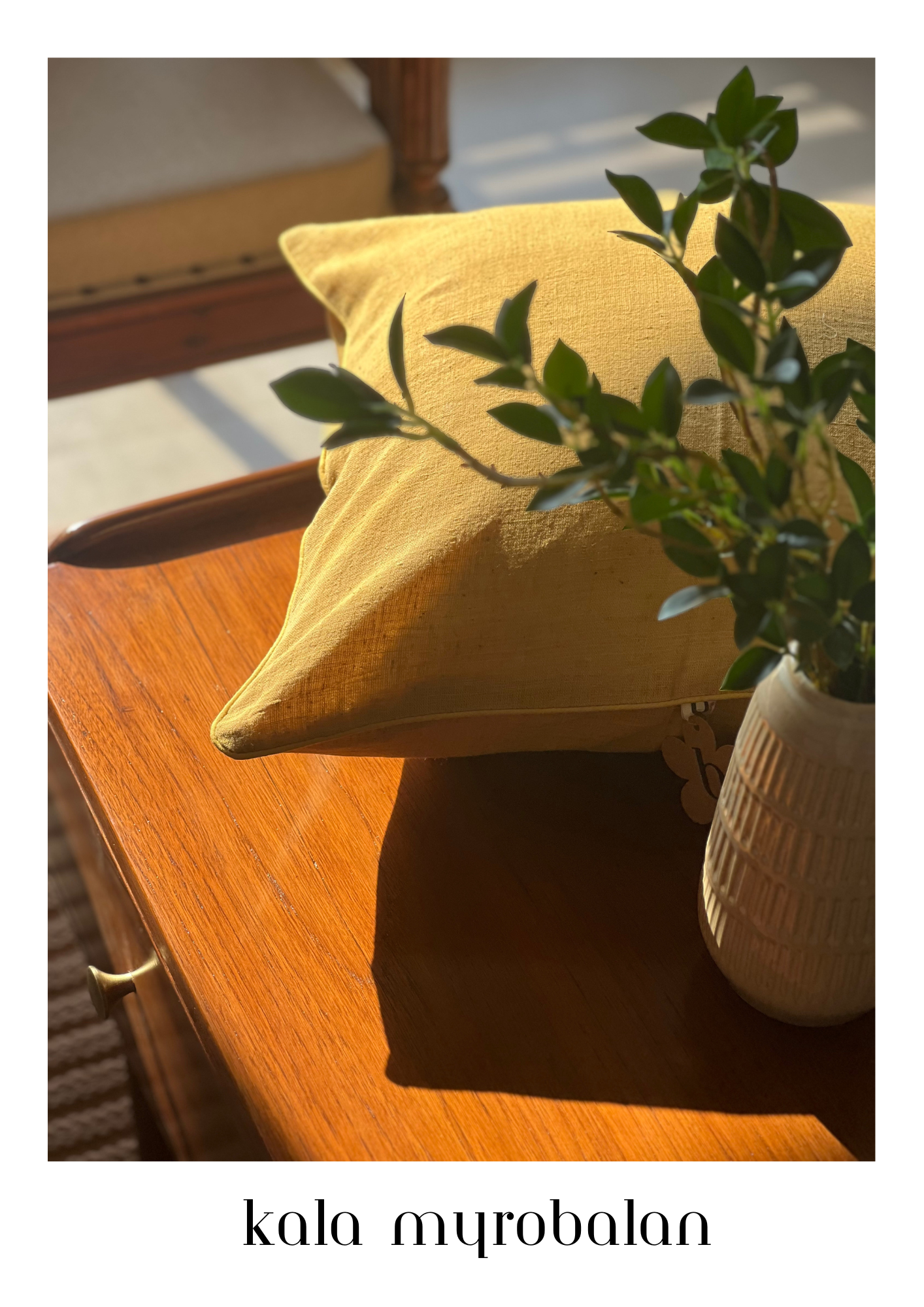 Kala Myrobalam Handwoven Cotton Cushion Cover - 45 cm