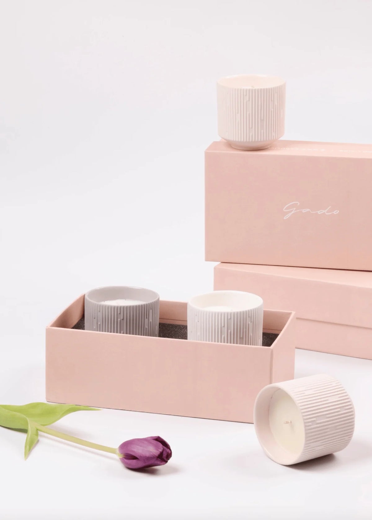 A set of white and light gray ribbed ceramic candles in matching blush pink packaging, styled with a single purple tulip on a clean white background.