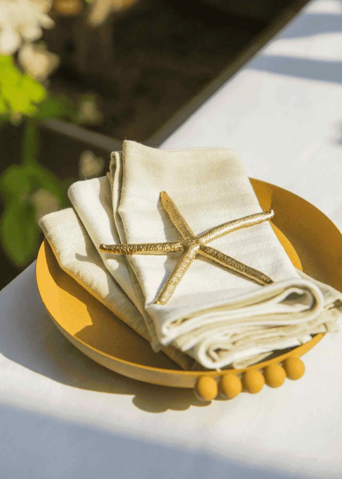 Elan Trays