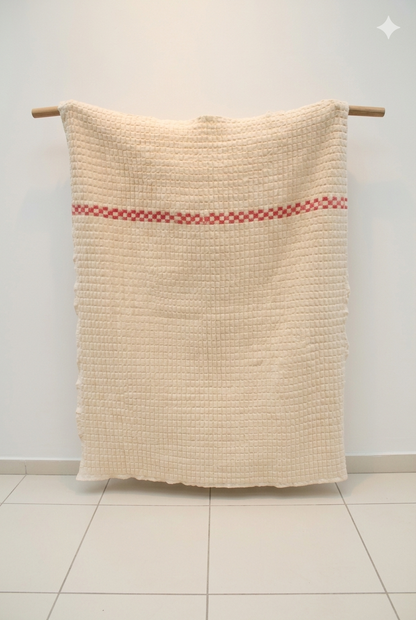 Sujni quilt handwoven in beige and red white colour in pure cotton