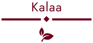 K3 Ventures logo